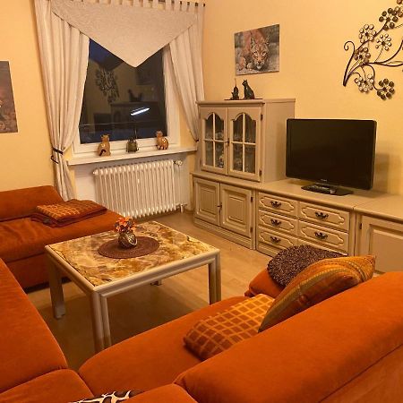 Апартаменти Steinberg-Blick Герцберґ-ам-Гарц Екстер'єр фото
