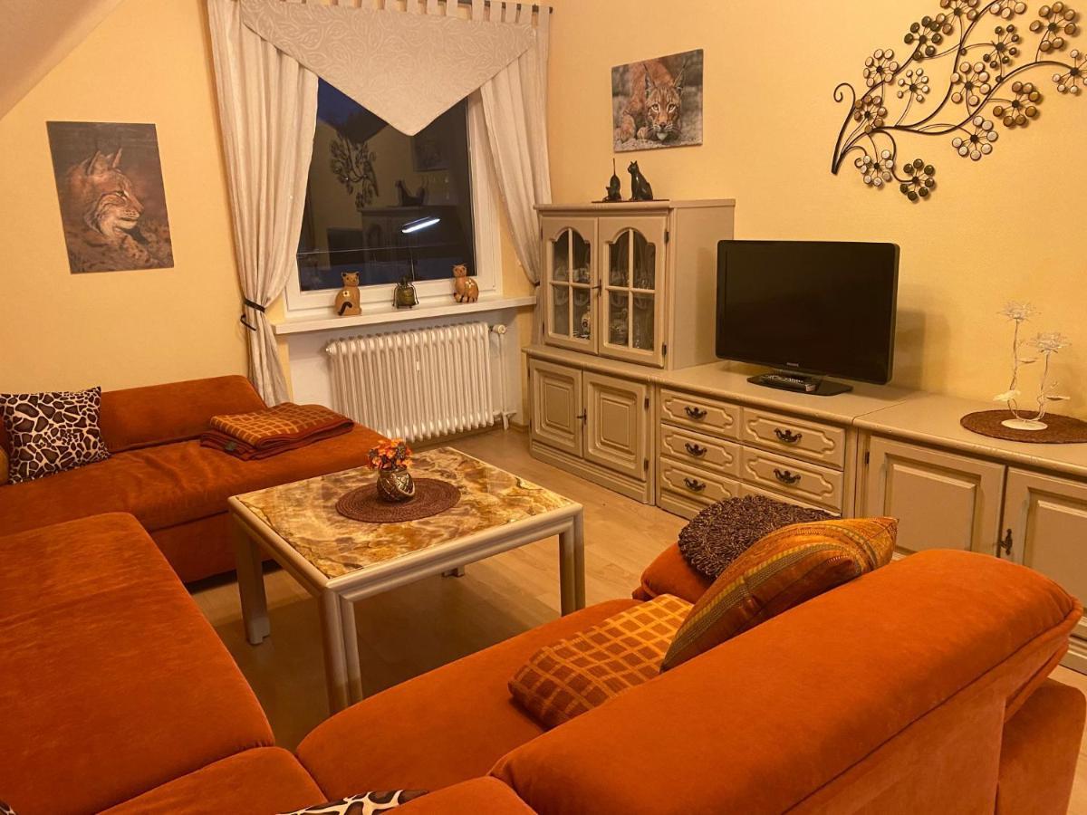 Апартаменти Steinberg-Blick Герцберґ-ам-Гарц Екстер'єр фото